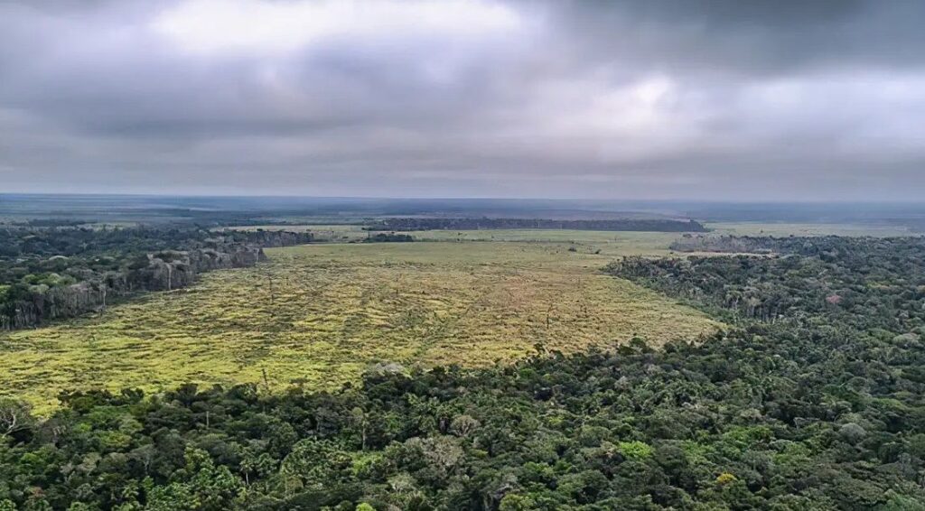 “discriminatoria”:-brasil-reage-apos-classificacao-ambiental-da-europa