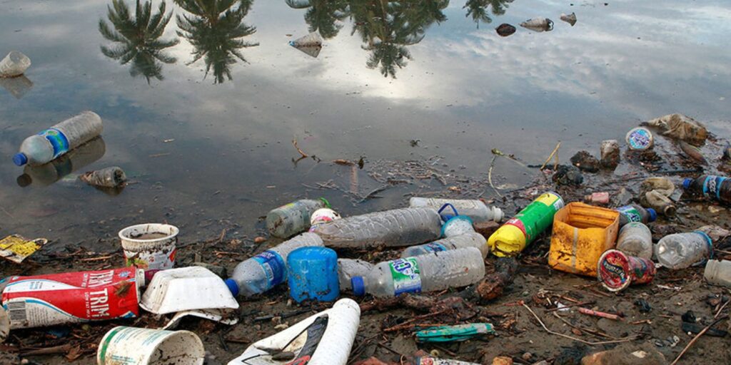 viva-maria:-rede-oceano-limpo-luta-contra-a-poluicao-plastica