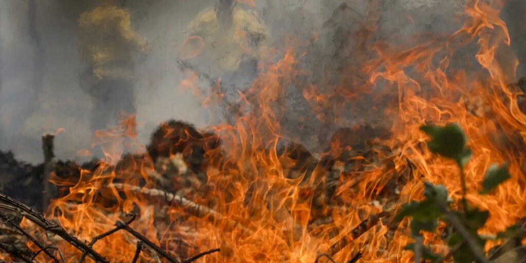 policia-federal-inicia-operacao-de-combate-a-incendios-florestais