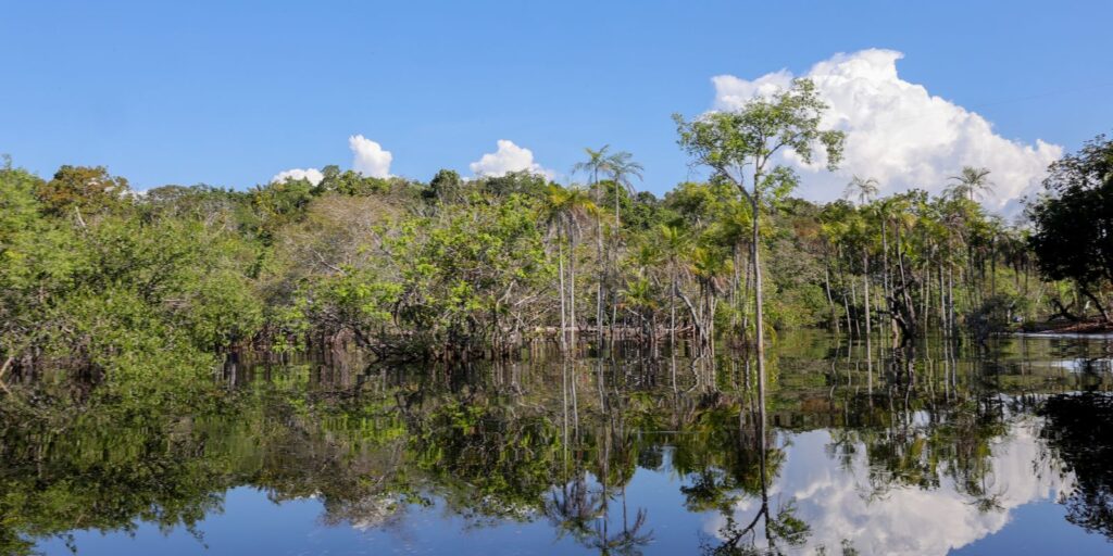rio-negro-inicia-vazante-em-manaus,-mas-alagamentos-persistem