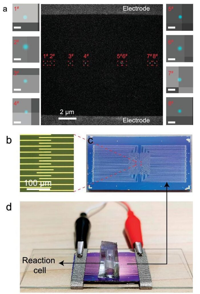 chip-filma-e-controla-reacao-quimica-em-tempo-real