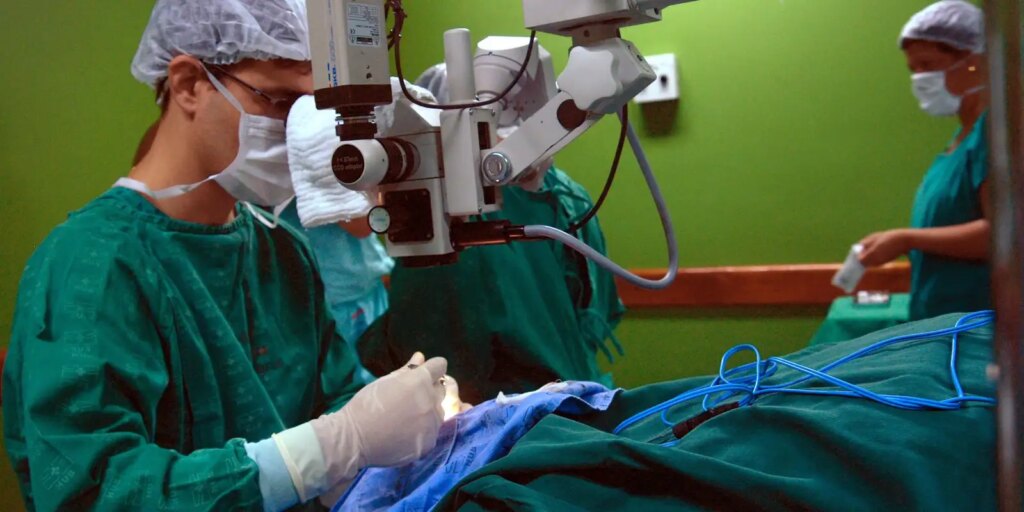exames-sao-importantes-para-diagnostico-do-cancer-de-intestino