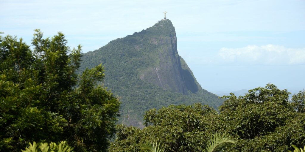 clima:-ativista-afirma-que-grupos-sociais-devem-participar-do-debate