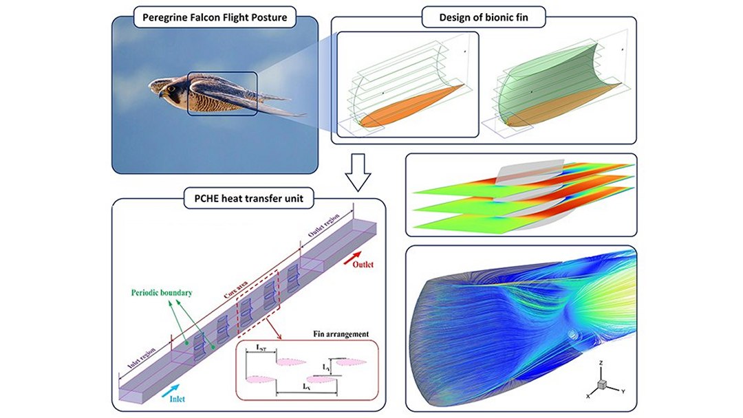falcao-peregrino-inspira-motor-de-aviao-a-hidrogenio