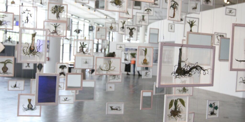 36a bienal de-sao-paulo-abre-suas-portas-neste-sabado,-no-ibirapuera