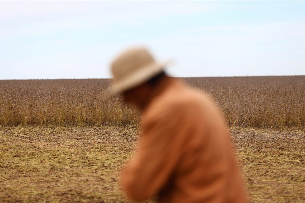 the-agribiz:-em-72h,-exportacao-de-graos-garantiu-us$-7-bi-a-argentina-–-e-queixas