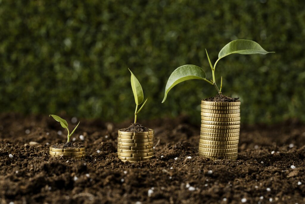 do-estoque-na-hiperinflacao-ao-futuro-incerto:-os-desafios-financeiros-dos-50+